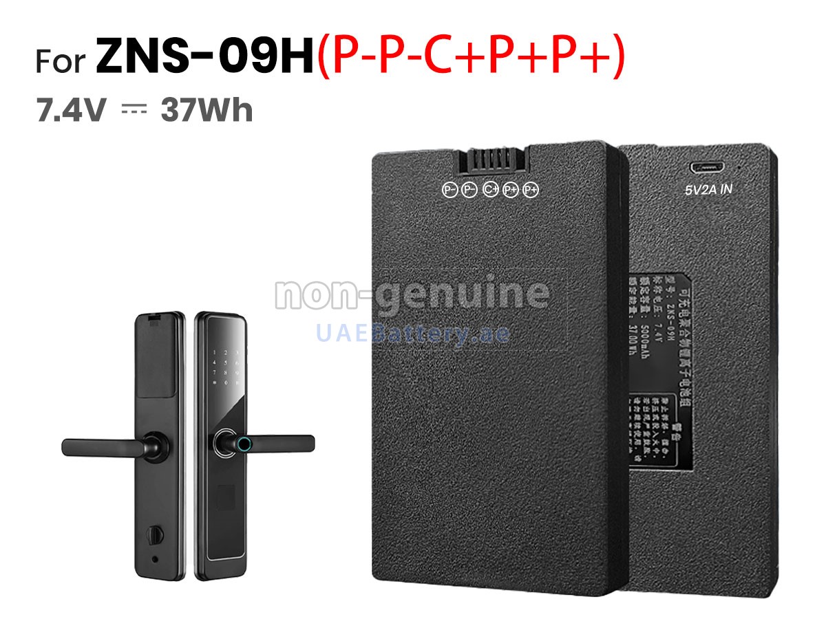 بطارية AolsteCell ZNS-09H