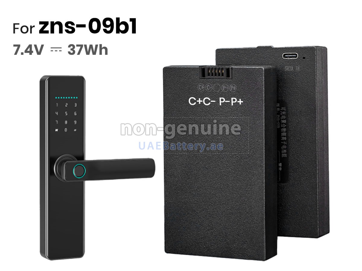 بطارية AolsteCell ZNS-09B