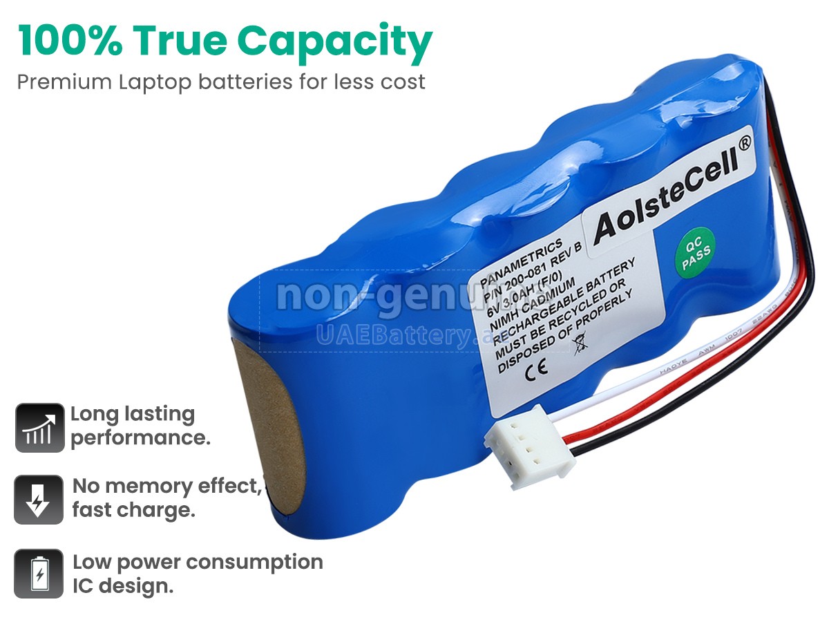 بطارية Panametrics 200-081