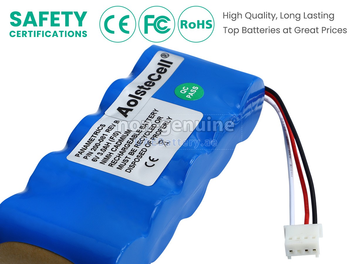 بطارية Panametrics 200-081