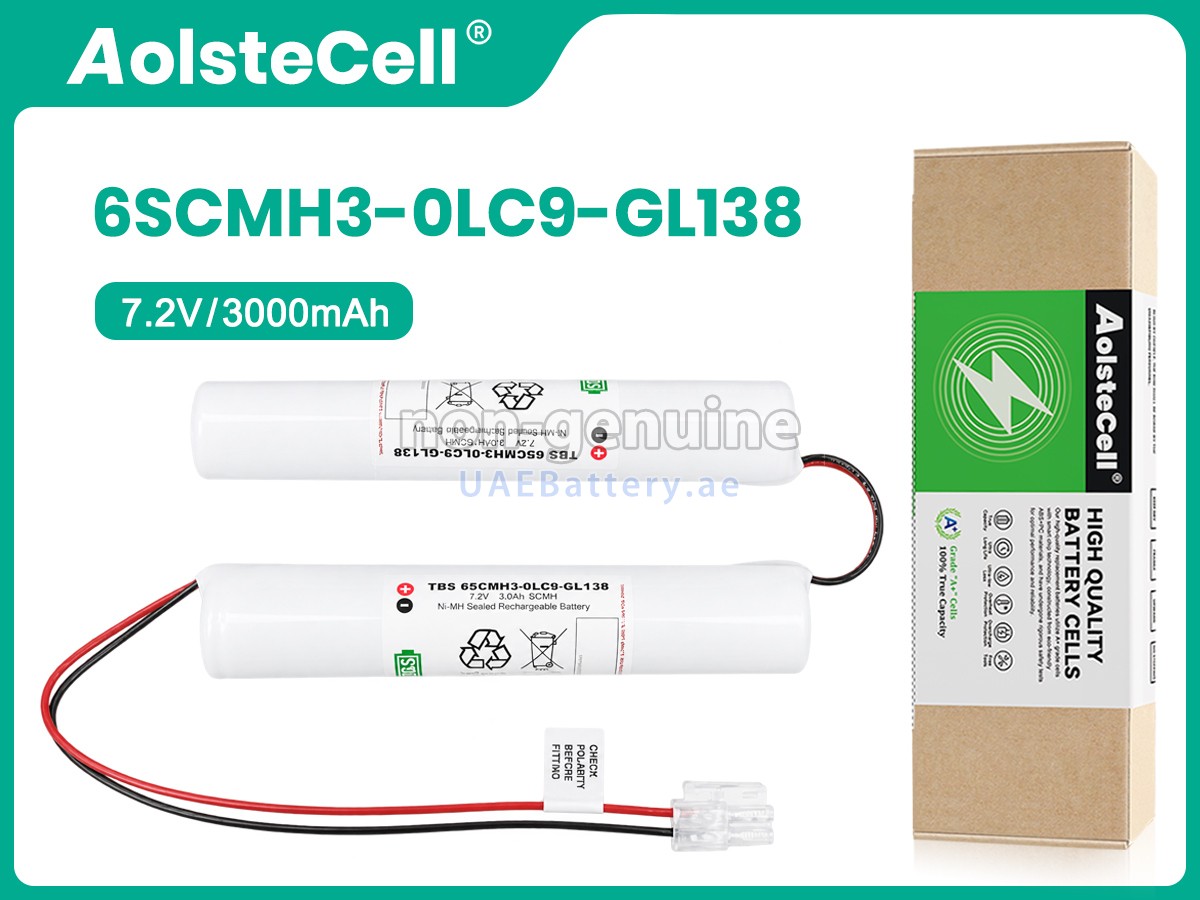 بطارية Philips 6SCMH3-0LC9-GL138